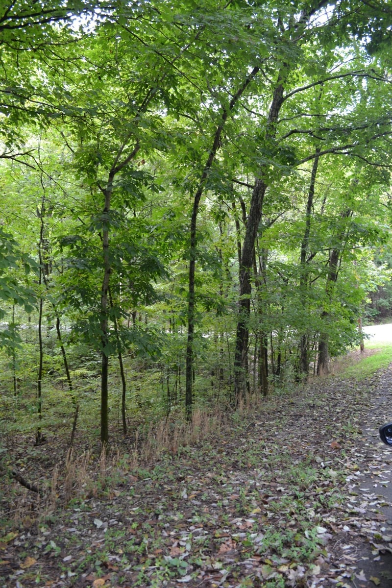 Pond Dr, Gallatin, TN 37066