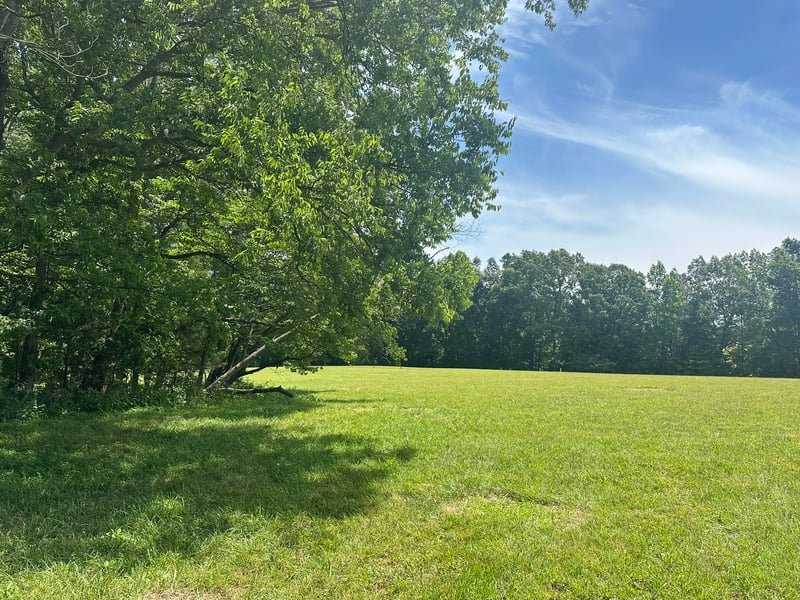 2 Somerville Rd, Cross Plains, TN 37049