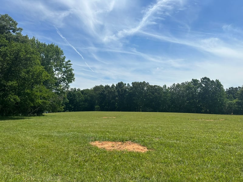 2 Somerville Rd, Cross Plains, TN 37049