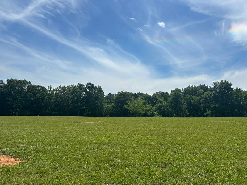 2 Somerville Rd, Cross Plains, TN 37049
