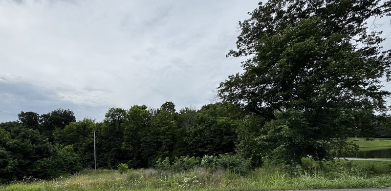 Campbell Rd, Cross Plains, TN 37049