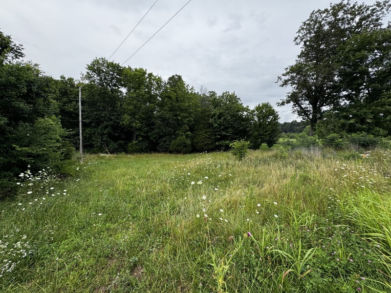 Campbell Rd, Cross Plains, TN 37049