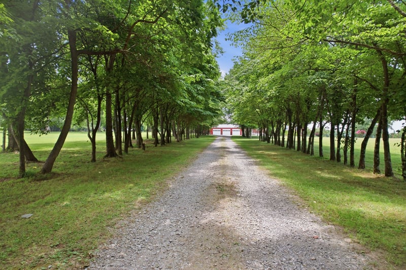 113 E Robertson Rd, Castalian Springs, TN 37031