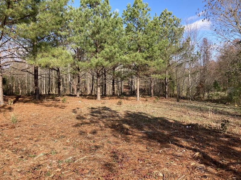 Highway 20 , Summertown, TN 38483