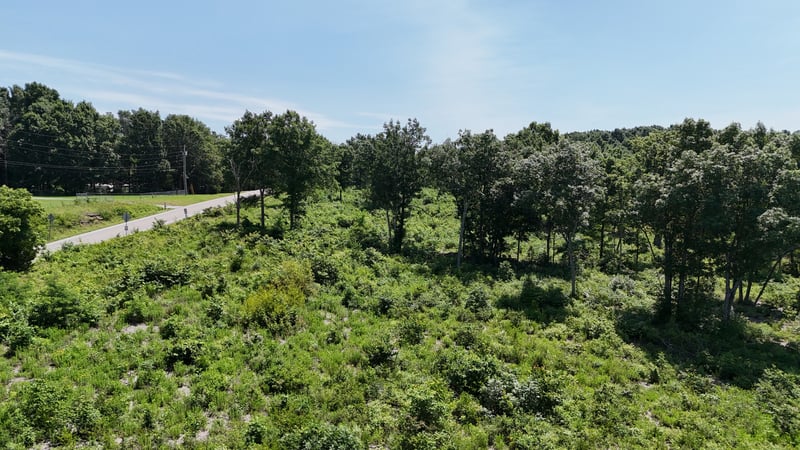 Manchester Pike, Christiana, TN 37037