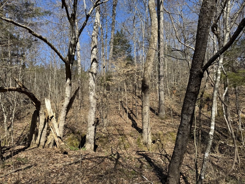 Corlew Rd, Charlotte, TN 37036