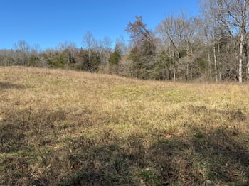 Corlew Rd, Charlotte, TN 37036