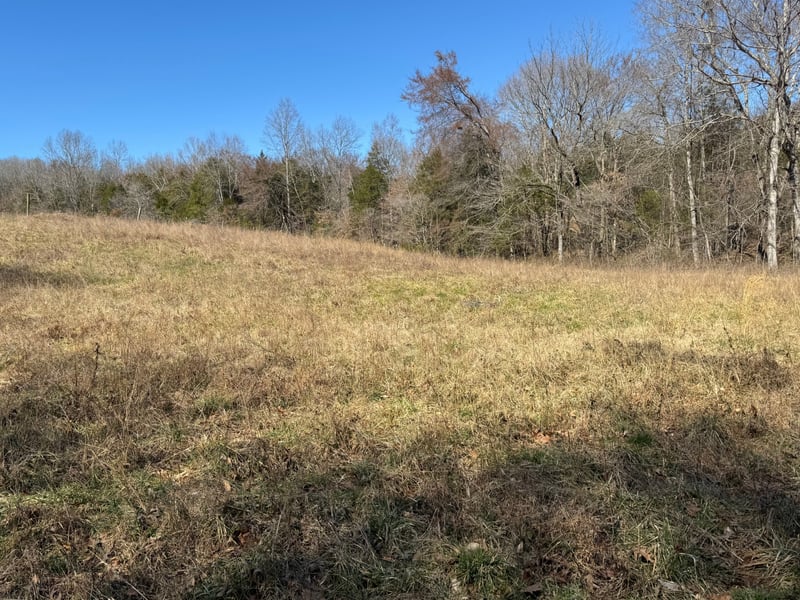 Corlew Rd, Charlotte, TN 37036
