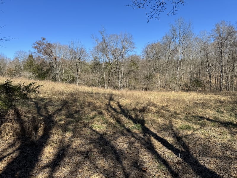 Corlew Rd, Charlotte, TN 37036