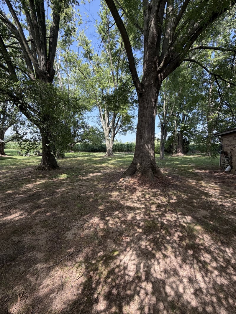 108 Riggs Ave, Portland, TN 37148