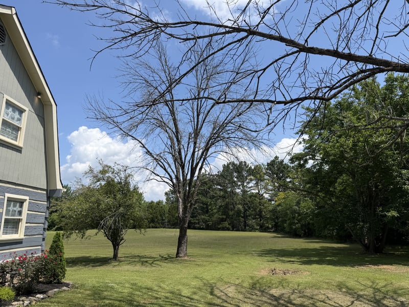 1238 Mires Rd, Mount Juliet, TN 37122