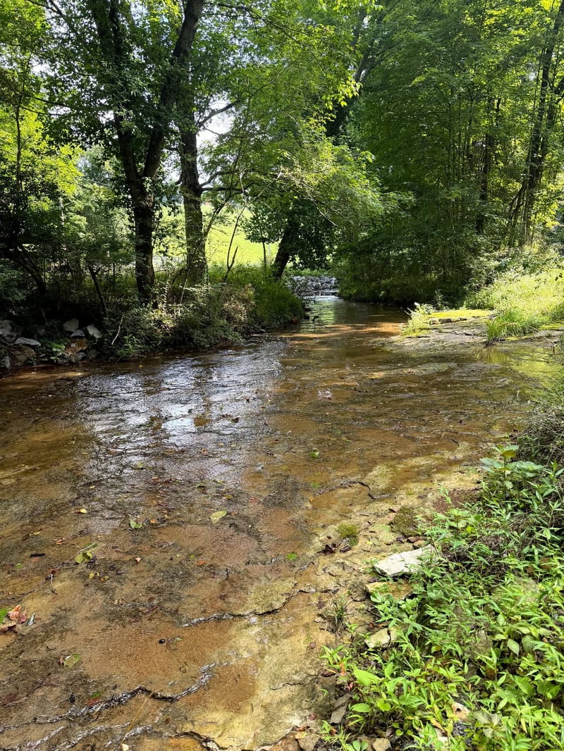 Wiley Branch Rd, Dickson, TN 37055