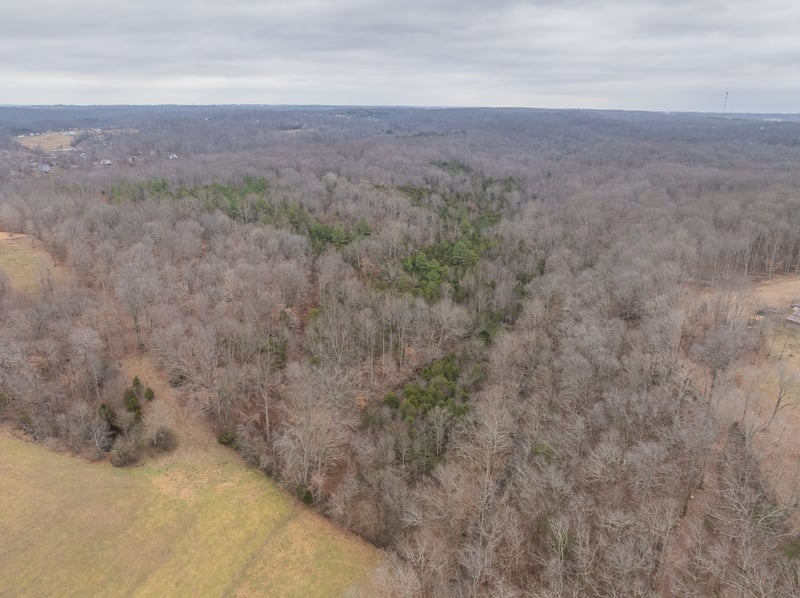 Wiley Branch Rd, Dickson, TN 37055