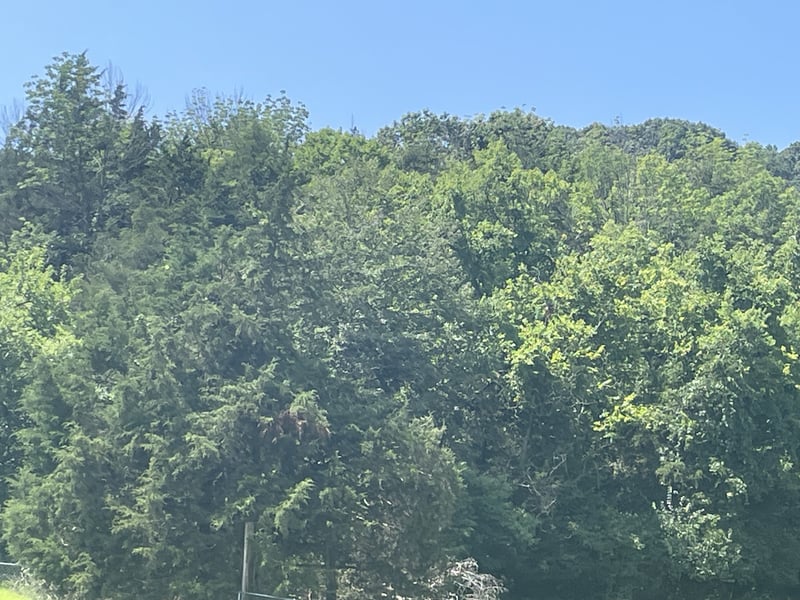 Ingram Rd, Whites Creek, TN 37189