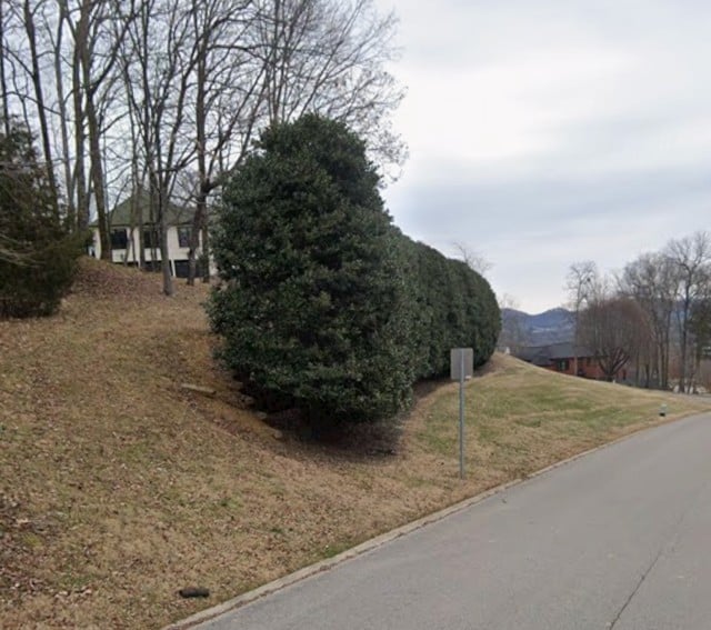 5225 Heathrow Hills Dr Lot 19, Brentwood, TN 37027