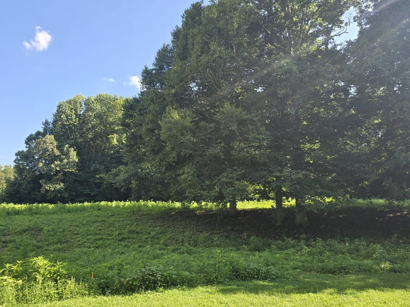 0 Piney Rd, Dickson, TN 37055