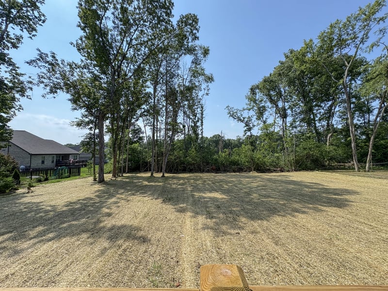 503 Claire Ct, Lebanon, TN 37087