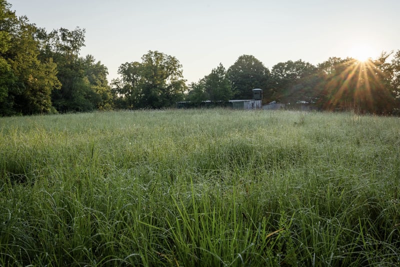 1125 Dawson Rd, White Bluff, TN 37187