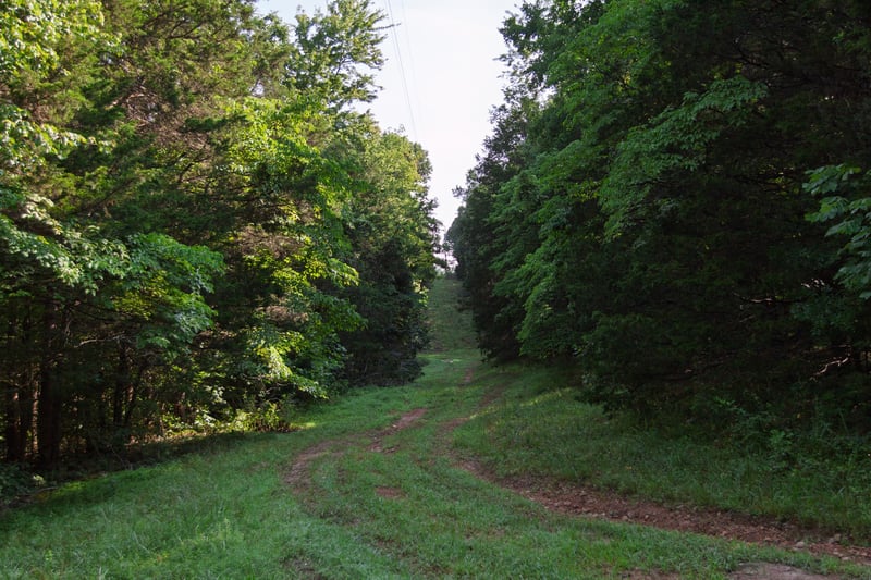 1125 Dawson Rd, White Bluff, TN 37187