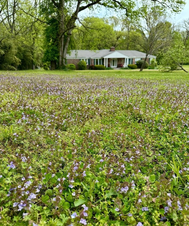 853 Pasadena Dr, Nashville, TN 37204