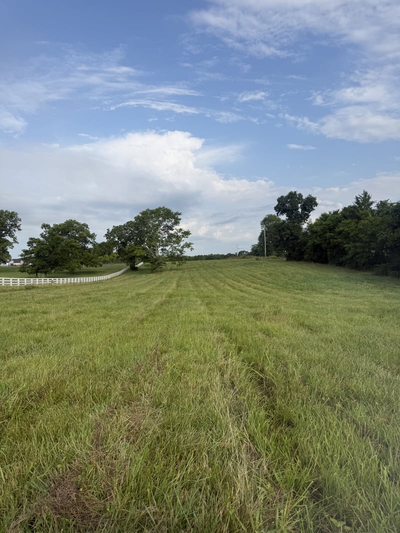 Chapel Hill Pike Lot 10, Eagleville, TN 37060