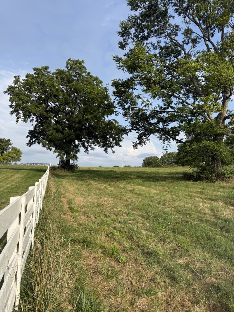 Chapel Hill Pike Lot 10, Eagleville, TN 37060