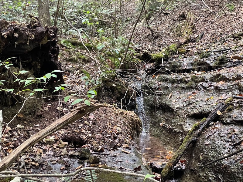 Mcclanahan Rd, Hampshire, TN 38461