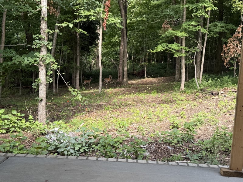 4412 Old Murfreesboro Rd, Lebanon, TN 37090