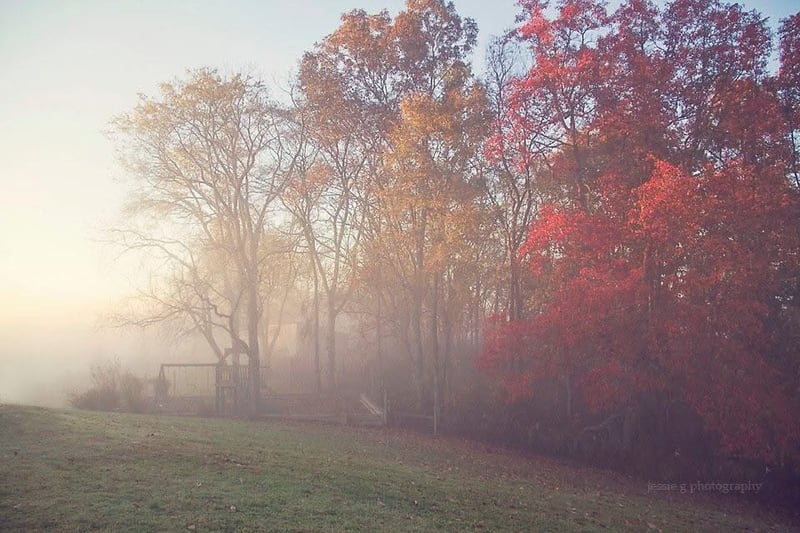 1466 Berea Church Rd, Lebanon, TN 37087