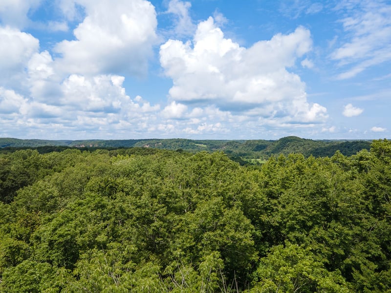 1300 Narrows Of The Harpeth Rd, Kingston Springs, TN 37082