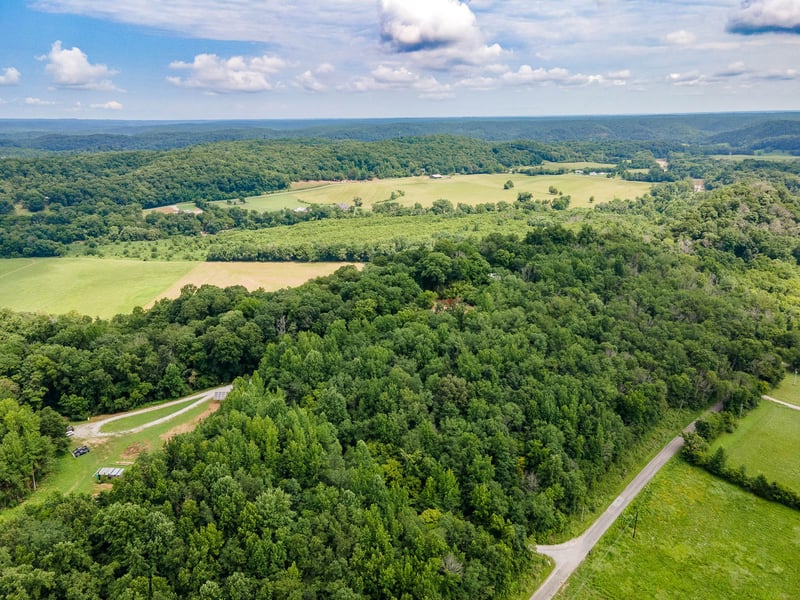 1300 Narrows Of The Harpeth Rd, Kingston Springs, TN 37082