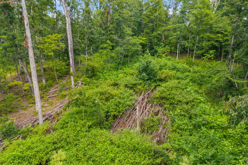 Hwy 47 , White Bluff, TN 37187