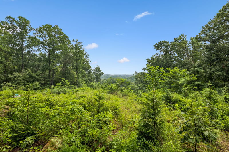 1065 Sioux Trl Lot 520, Pegram, TN 37143