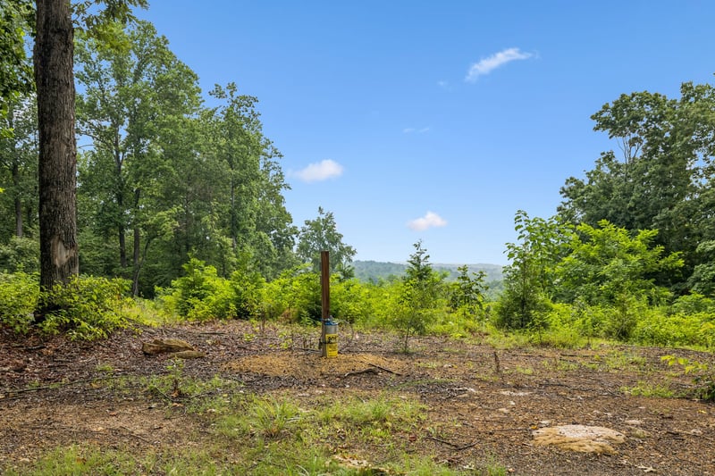1065 Sioux Trl Lot 520, Pegram, TN 37143
