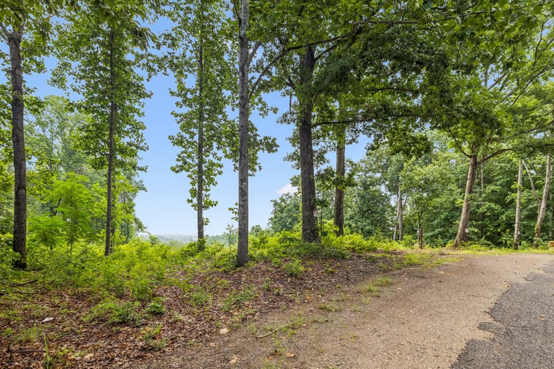 1065 Sioux Trl Lot 520, Pegram, TN 37143