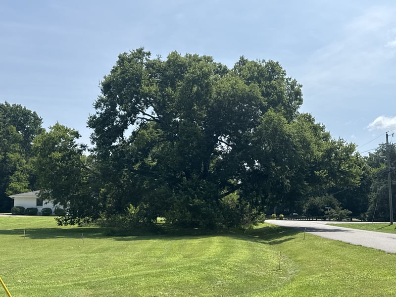 202 Harpeth Hills Dr Lot 37A, Franklin, TN 37069