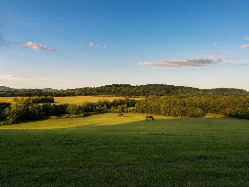 1914 Thompsons Station Rd W Lot 1L, Thompsons Station, TN 37179