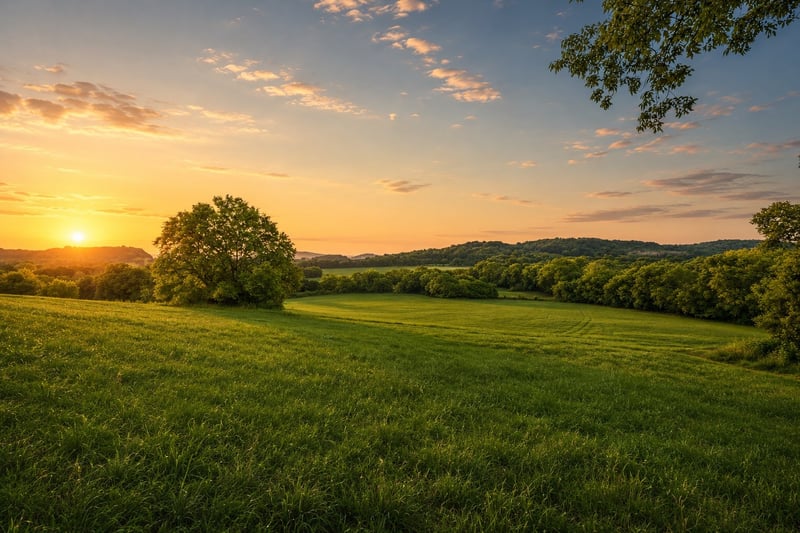 1914 Thompsons Station Rd W Lot 1L, Thompsons Station, TN 37179
