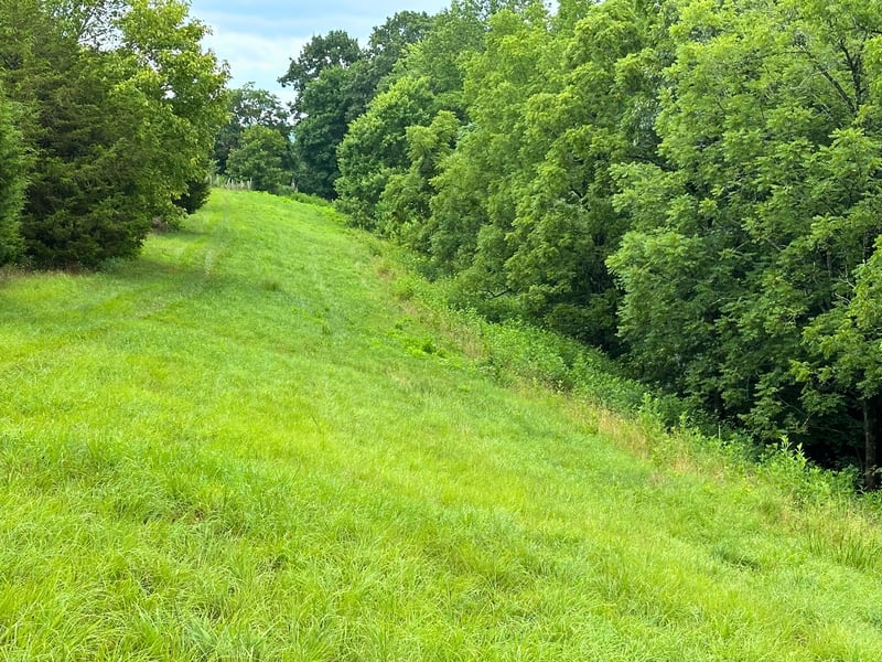 Pea Ridge Rd, Chestnut Mound, TN 38552