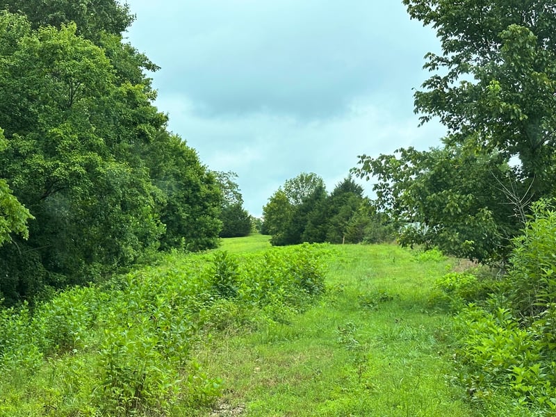 Pea Ridge Rd, Chestnut Mound, TN 38552