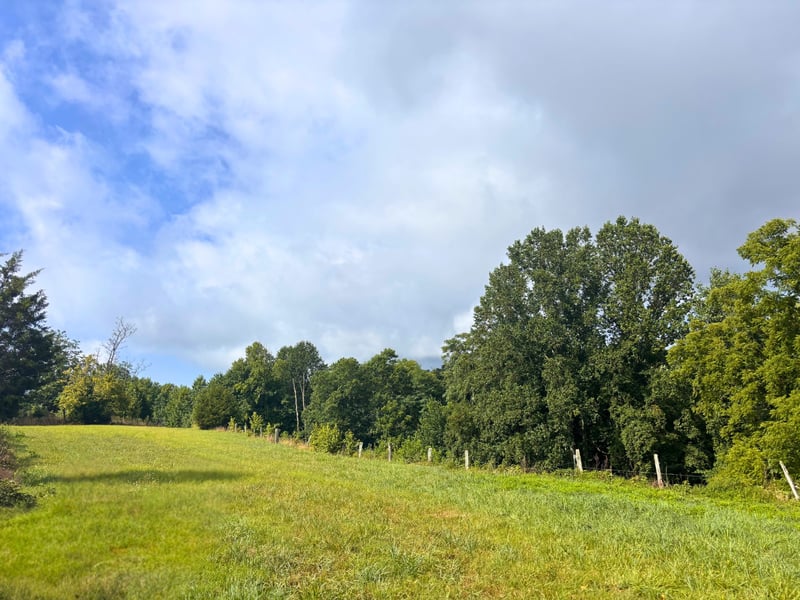 Pea Ridge Rd, Chestnut Mound, TN 38552
