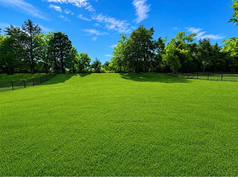 1127 Madison Mill Dr, Nolensville, TN 37135