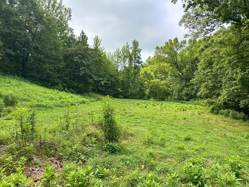 Dickens Rd, Buffalo Valley, TN 38548