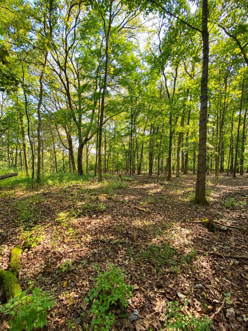 Pawnee Trl Lot 24-26, Madison, TN 37115