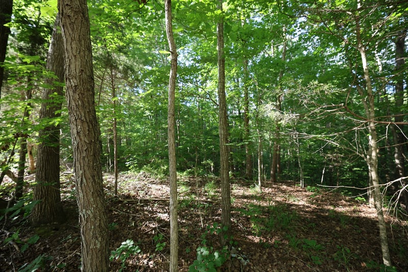 21 Holcomb Cir Lot 21, Kingston Springs, TN 37082