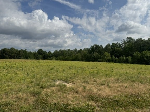 Bob Perry Rd Lot 9, Bethpage, TN 37022