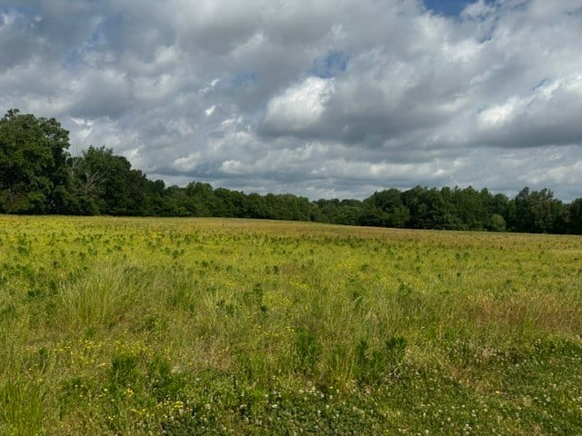 Cal Durham Rd Lot 13, Bethpage, TN 37022