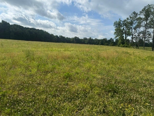 Cal Durham Rd Lot 14, Bethpage, TN 37022