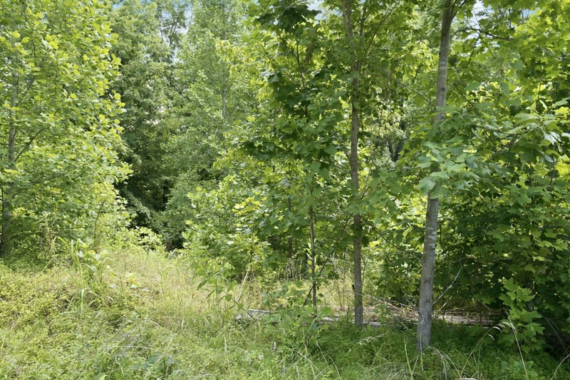 Trailwood Ct Lot 29, Joelton, TN 37080