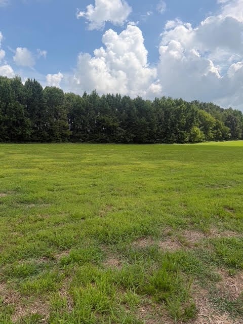 Friendship Rd, Cross Plains, TN 37049